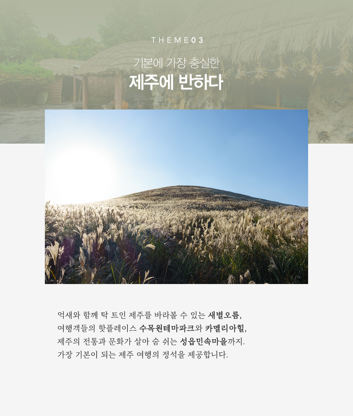 기획전 이미지