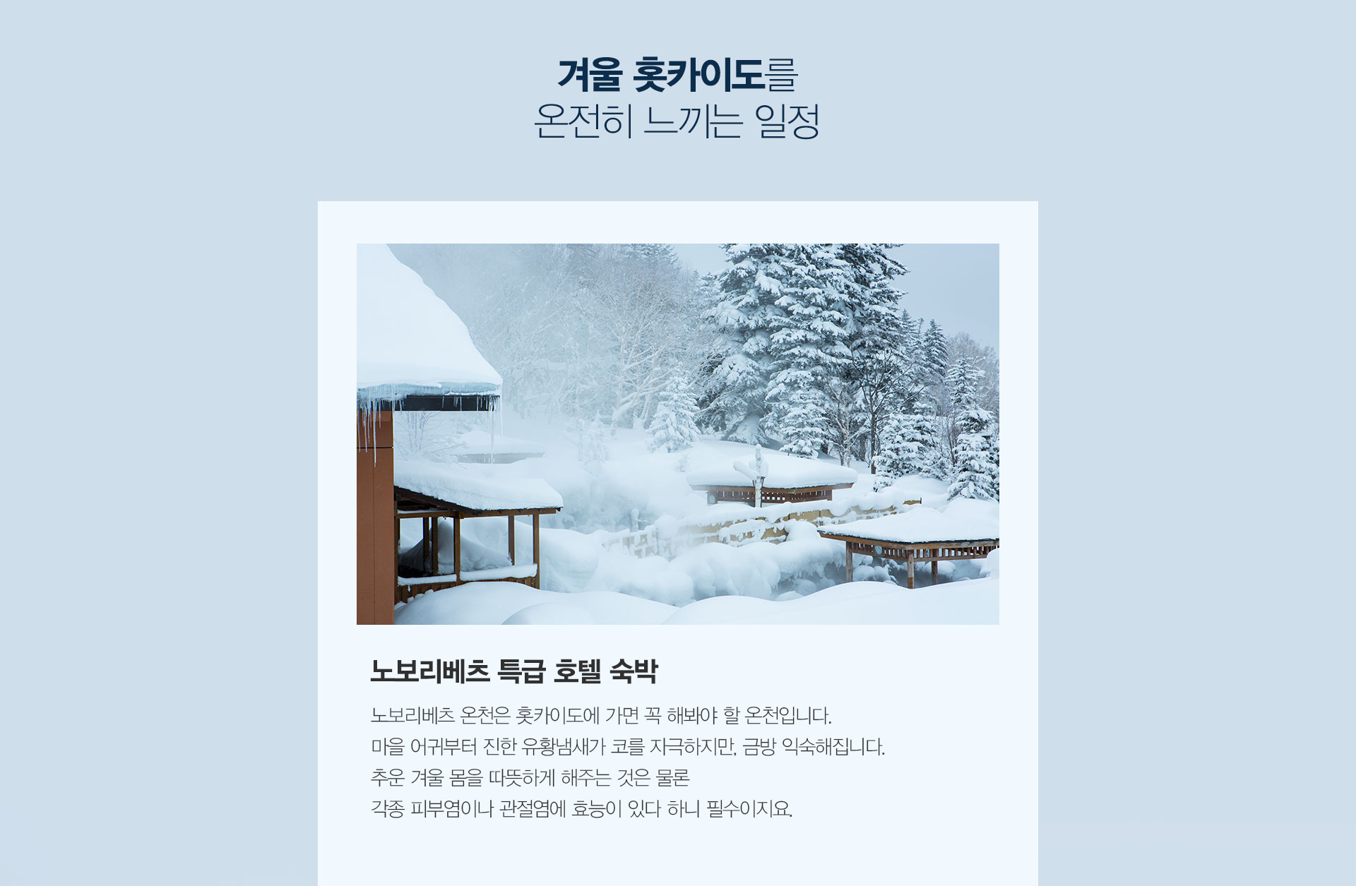 기획전 이미지