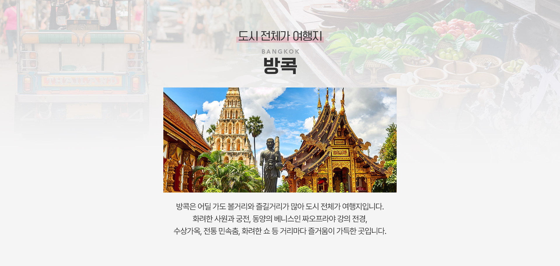 기획전 이미지