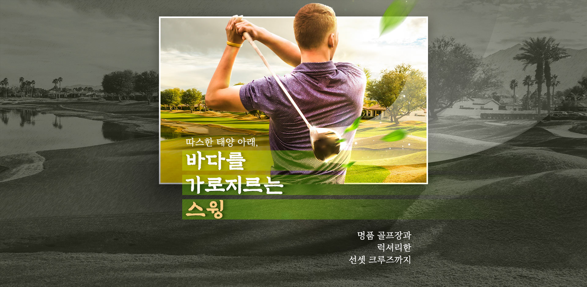 기획전 이미지