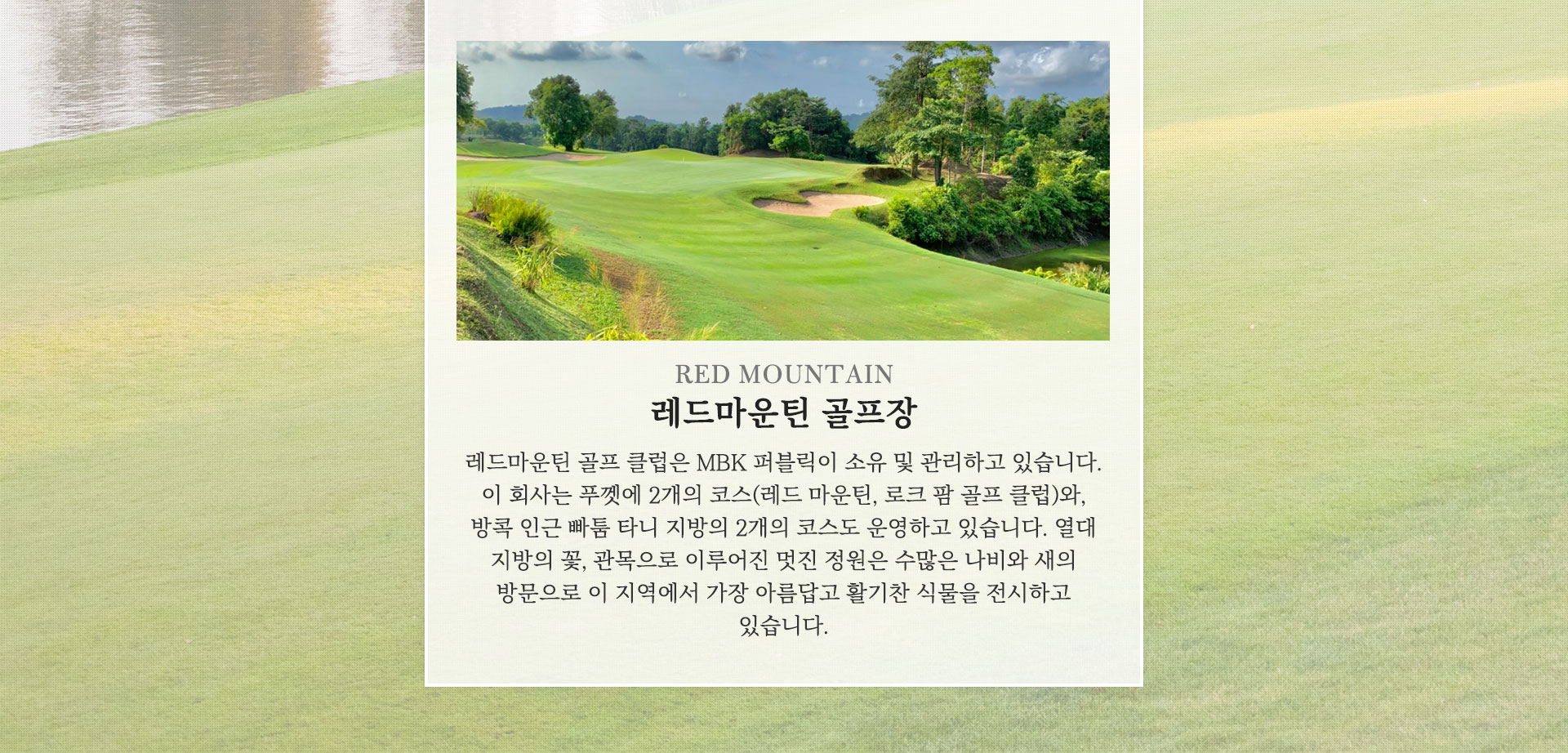 기획전 이미지