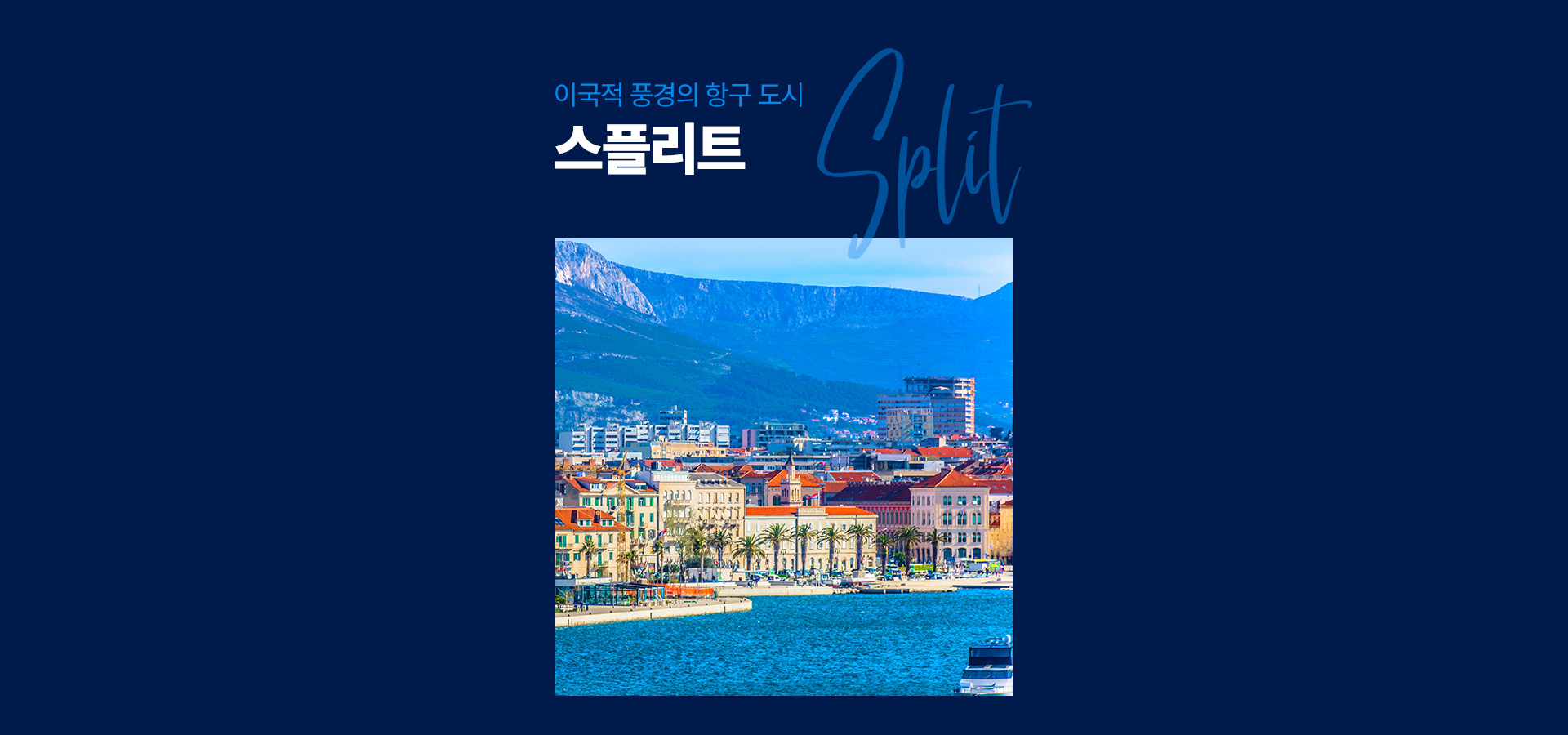 기획전 이미지