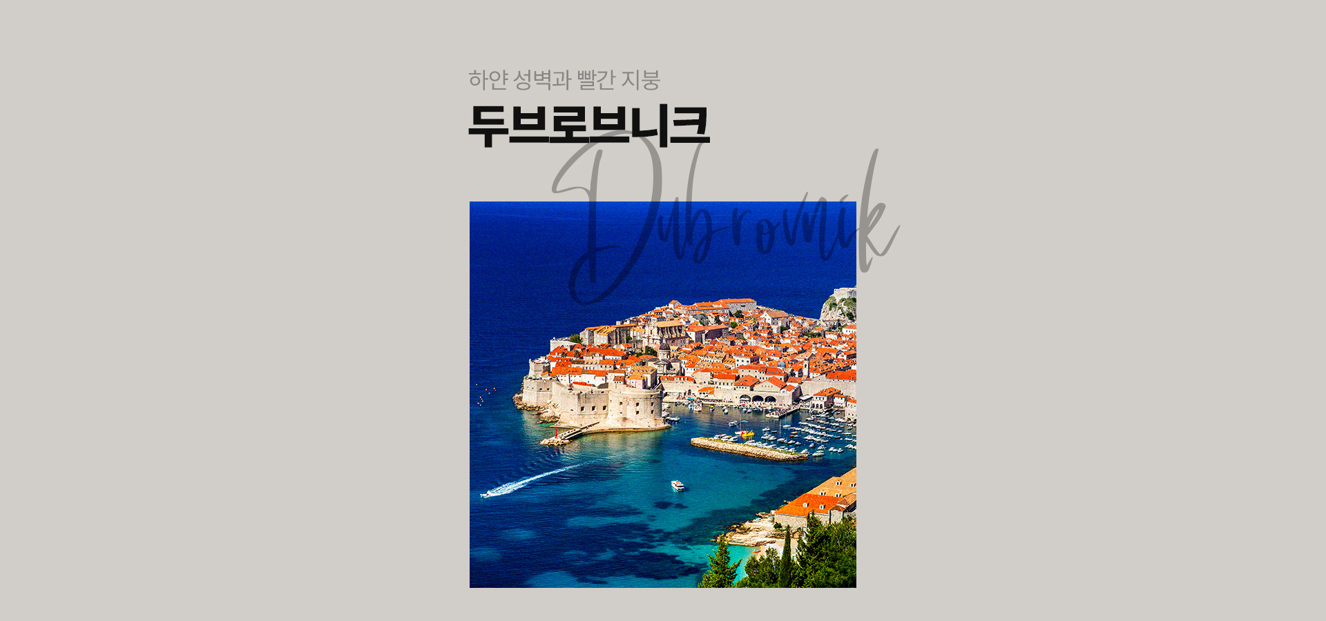 기획전 이미지