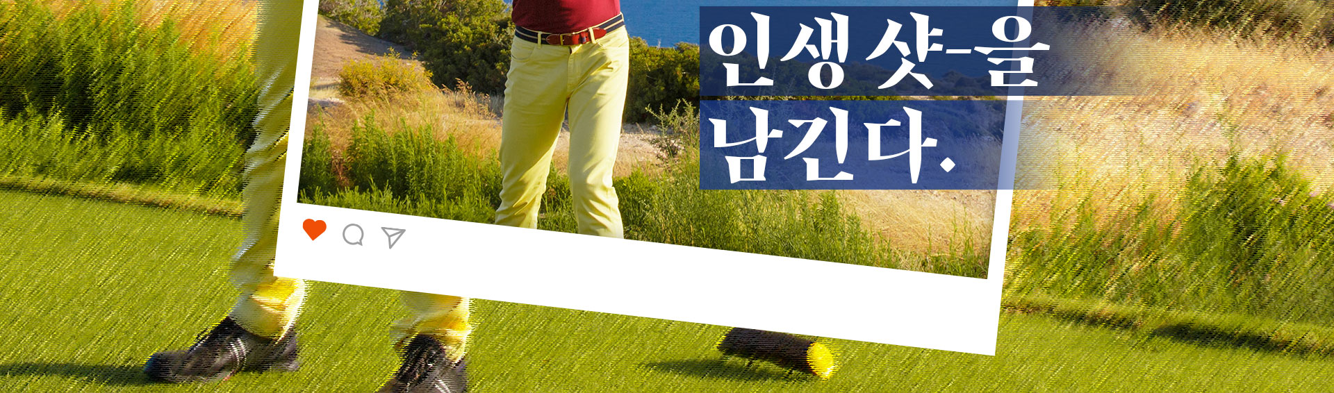 기획전 이미지