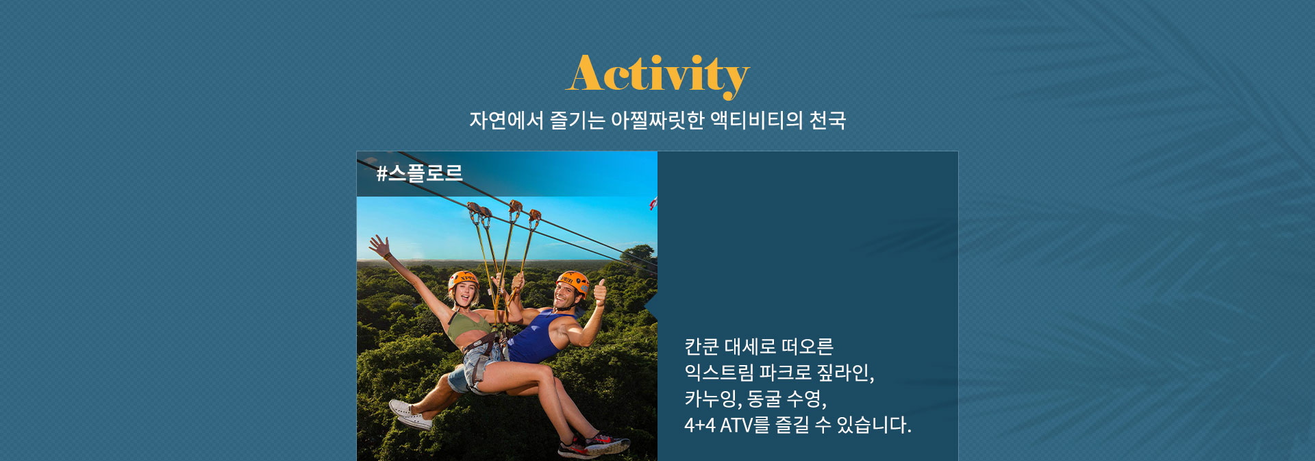기획전 이미지