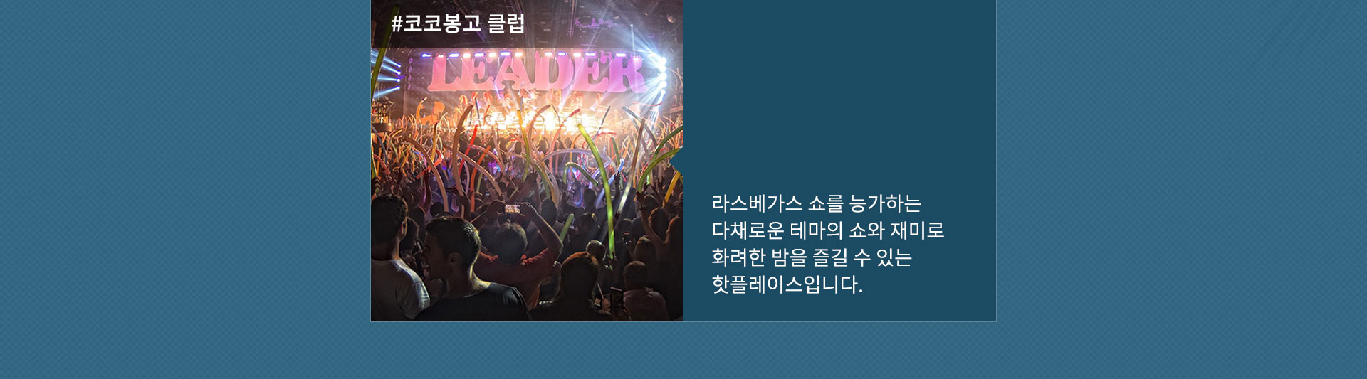기획전 이미지