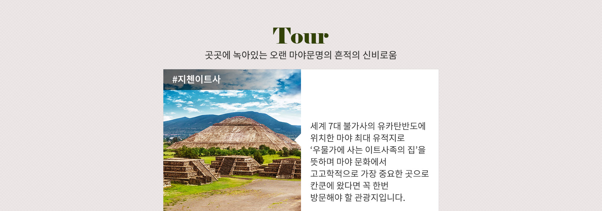 기획전 이미지