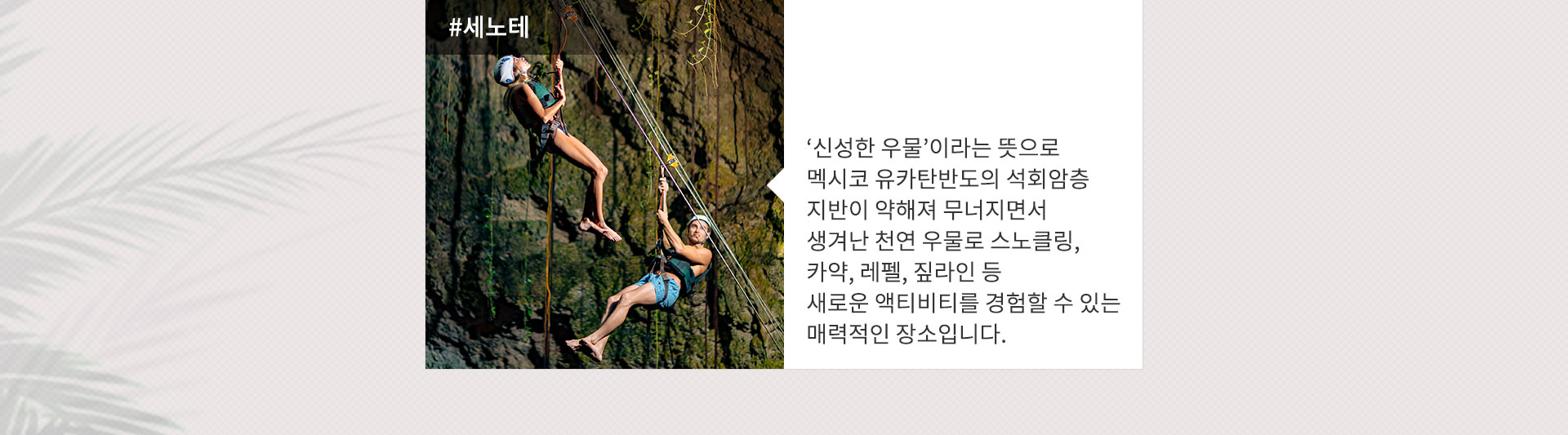 기획전 이미지