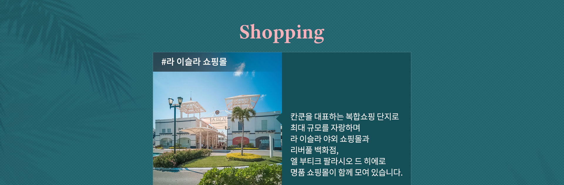 기획전 이미지