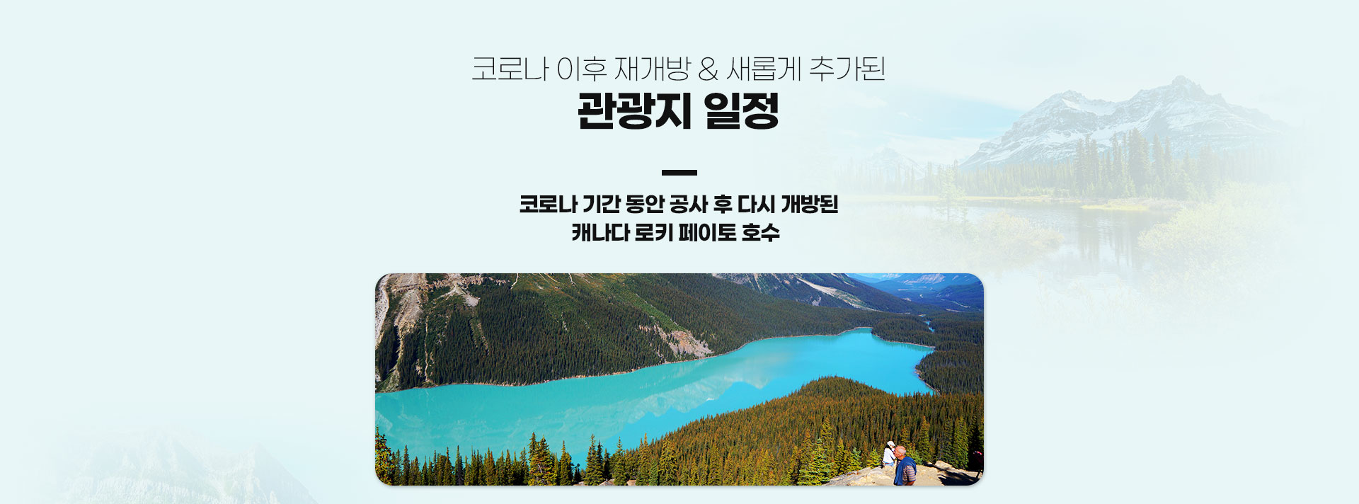 기획전 이미지