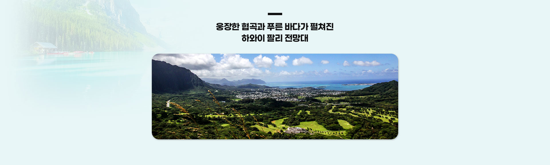 기획전 이미지