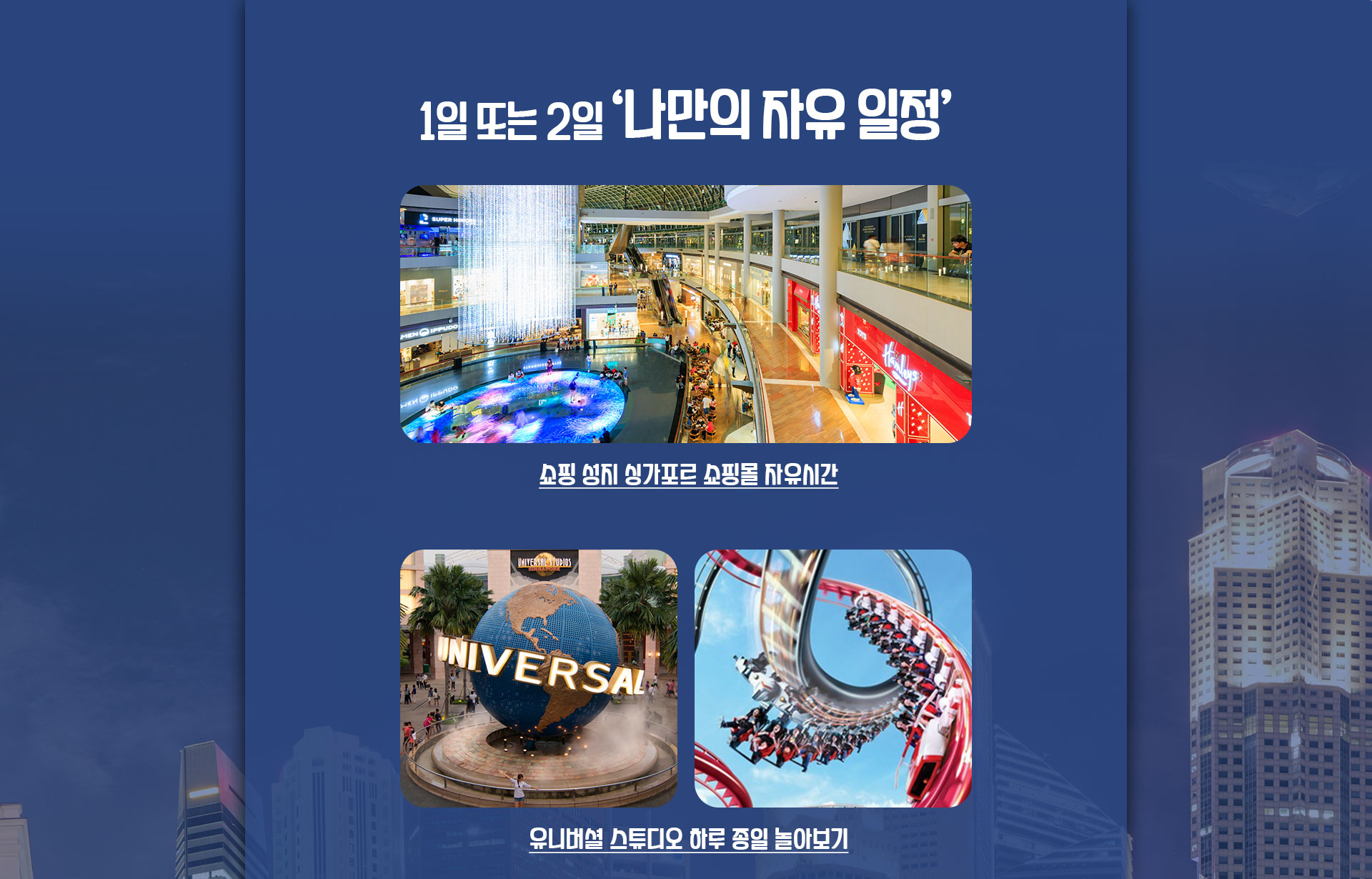 기획전 이미지