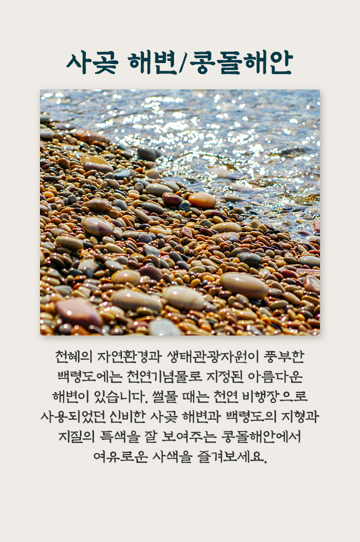 기획전/이벤트