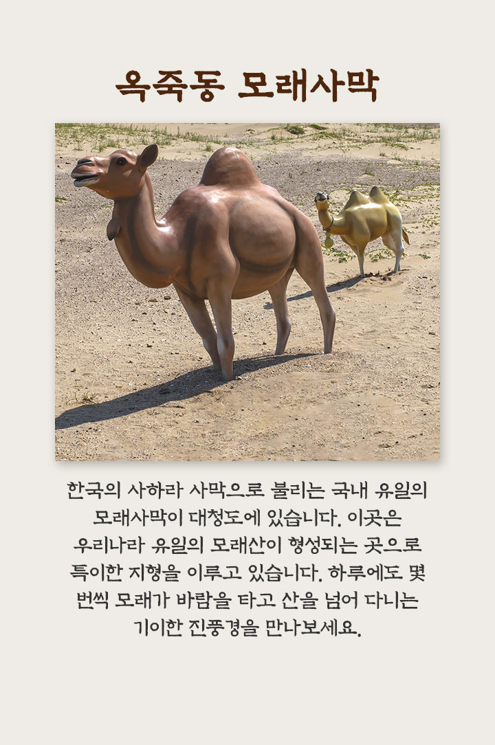 기획전/이벤트