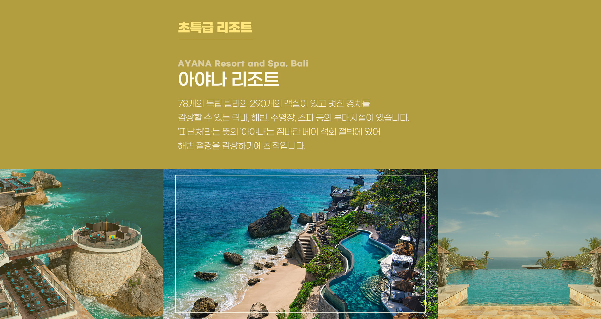 기획전 이미지
