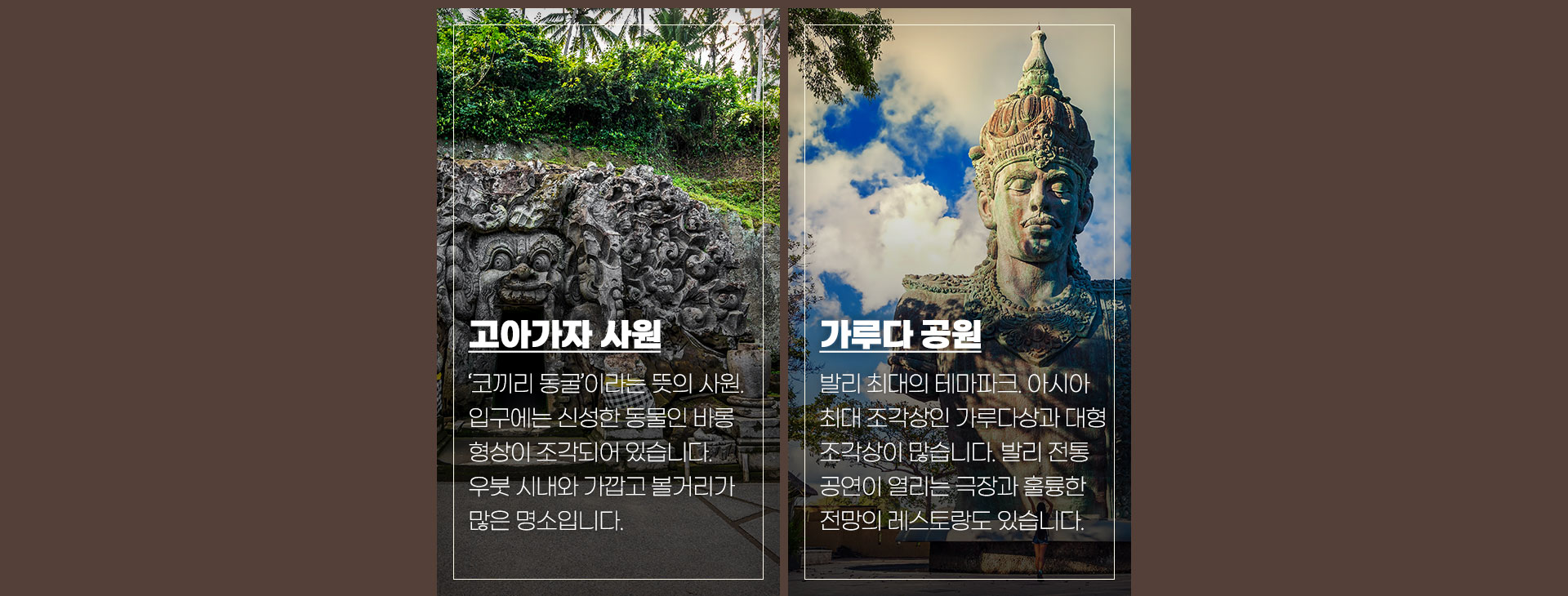 기획전 이미지