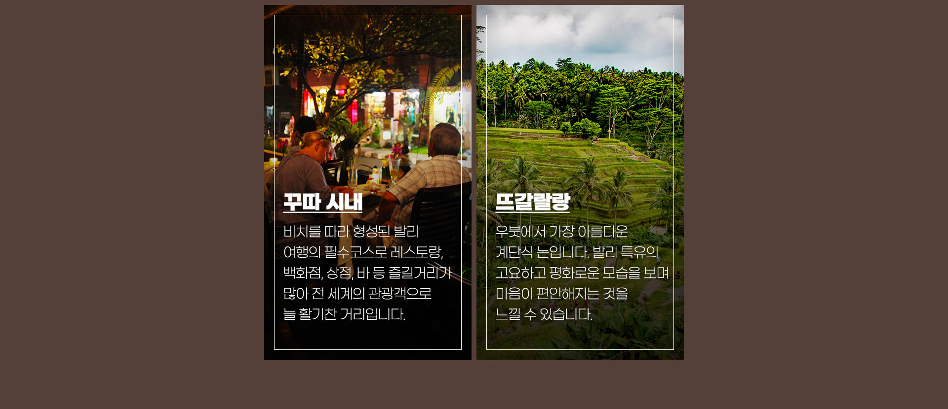 기획전 이미지