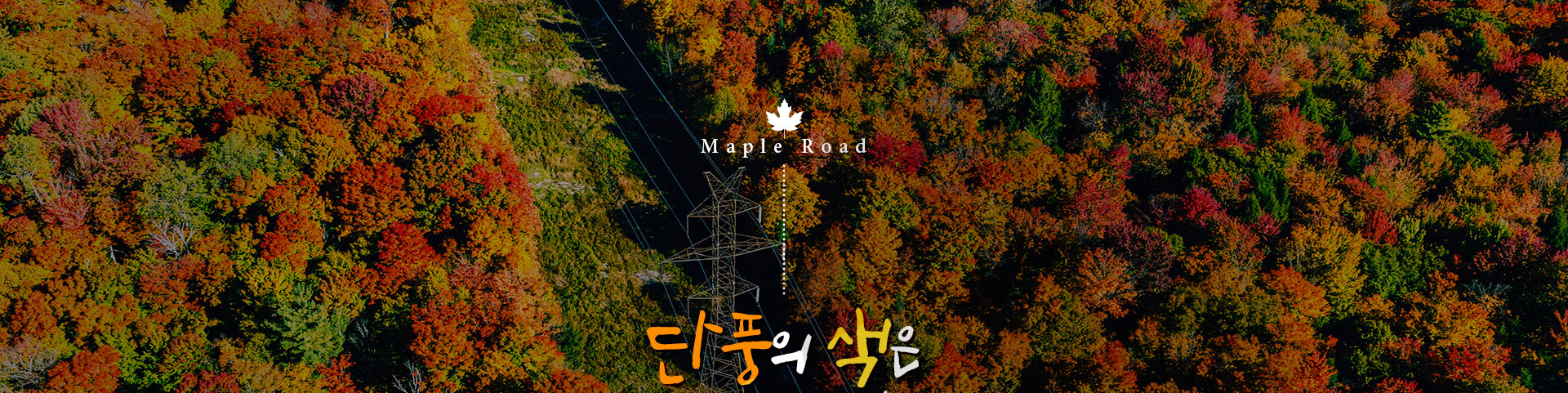 기획전 이미지