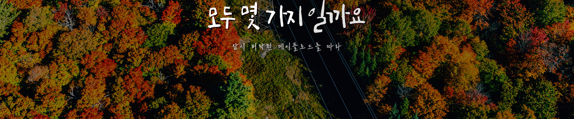 기획전 이미지