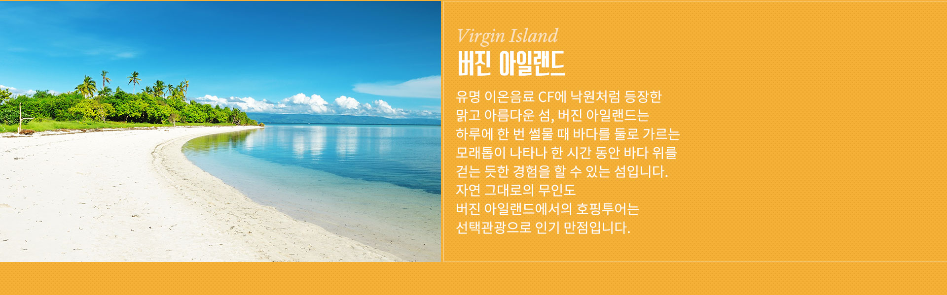 기획전 이미지