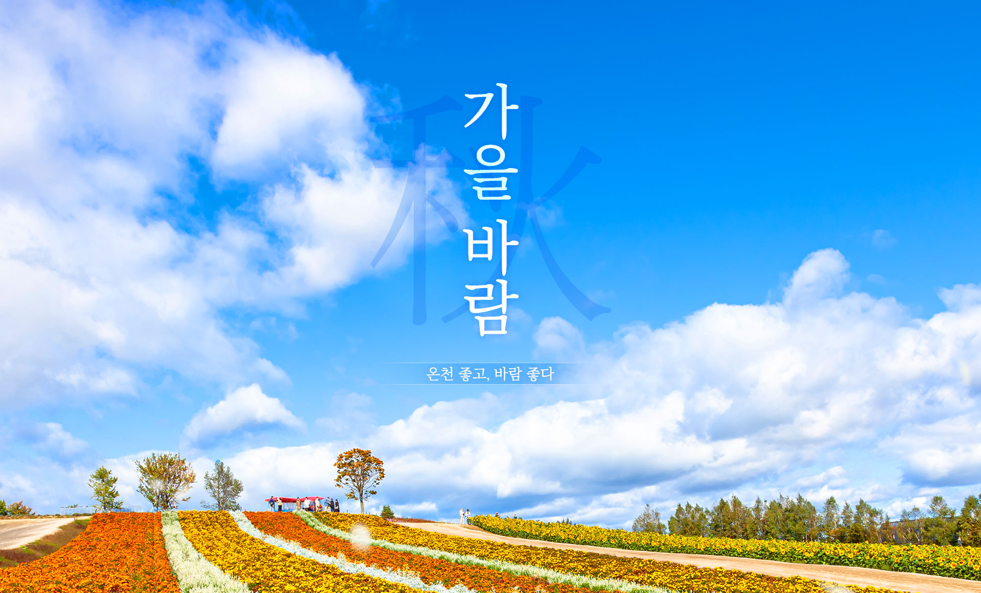 기획전 이미지