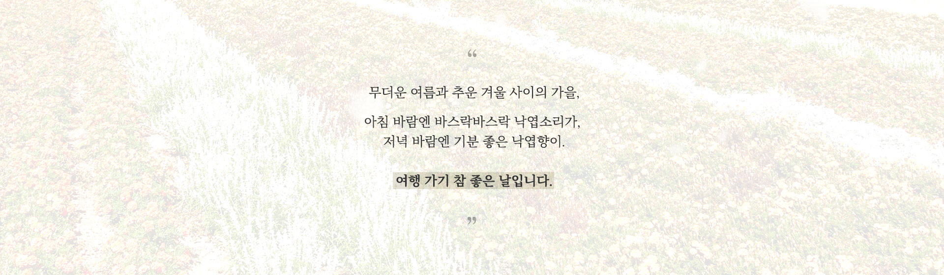 기획전 이미지