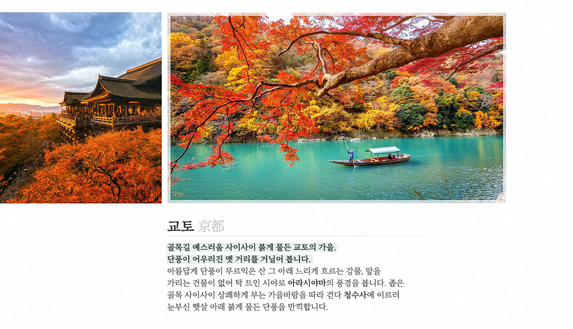 기획전 이미지