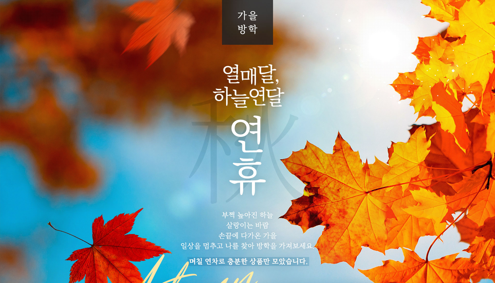 기획전 이미지