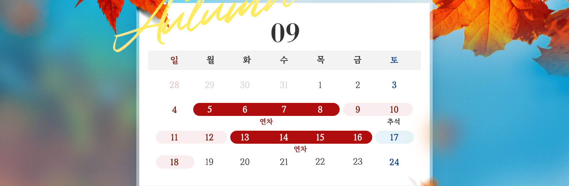 기획전 이미지