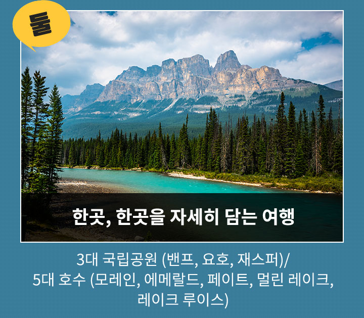 참좋은마켓