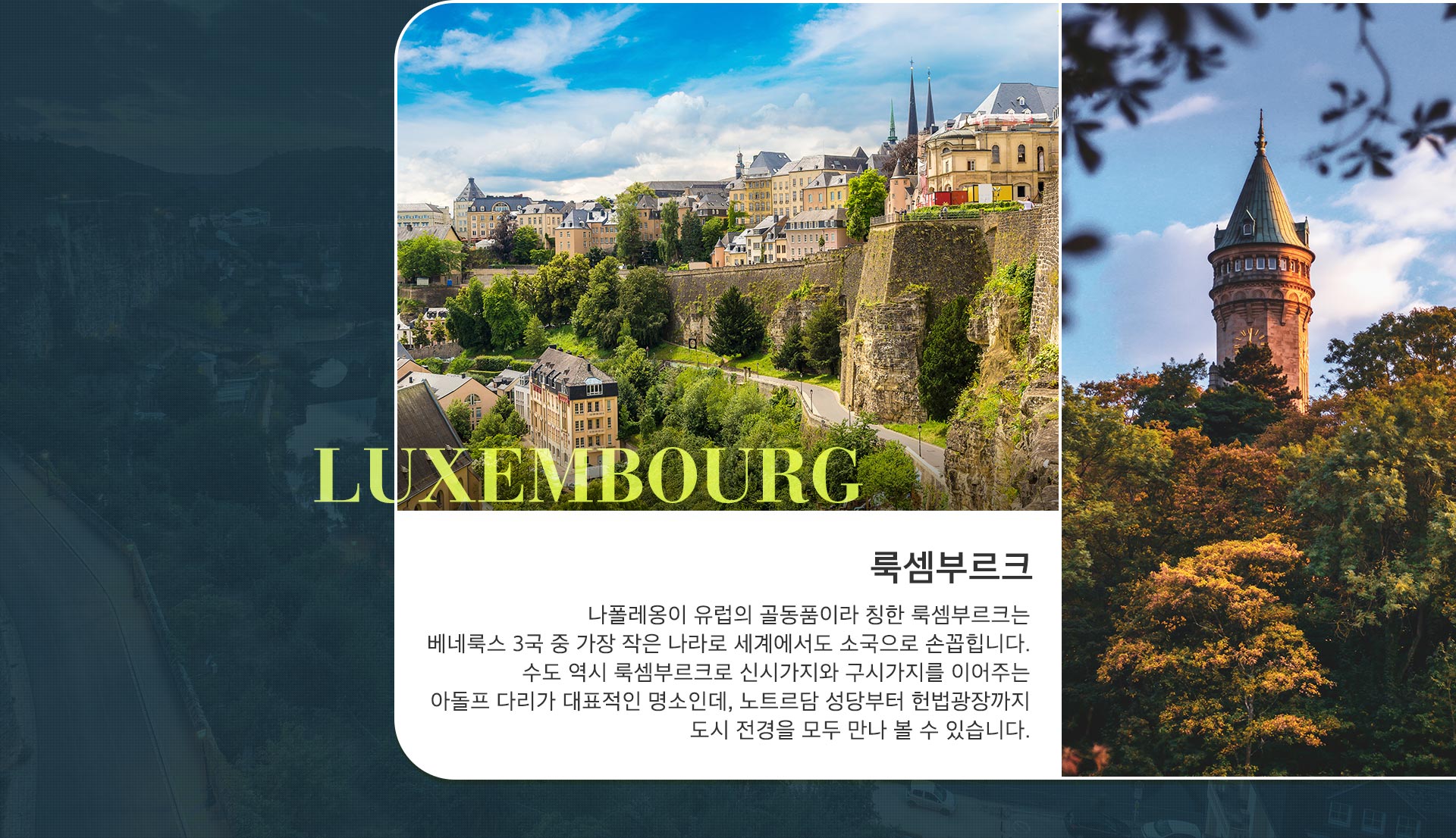 기획전 이미지