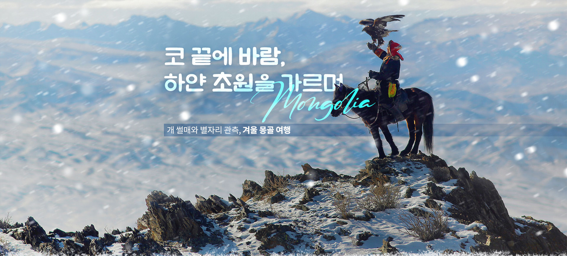 기획전 이미지
