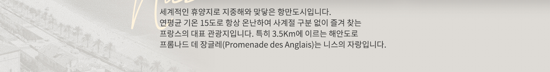 기획전 이미지