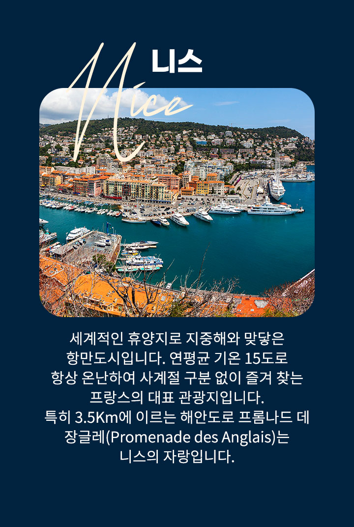 기획전/이벤트