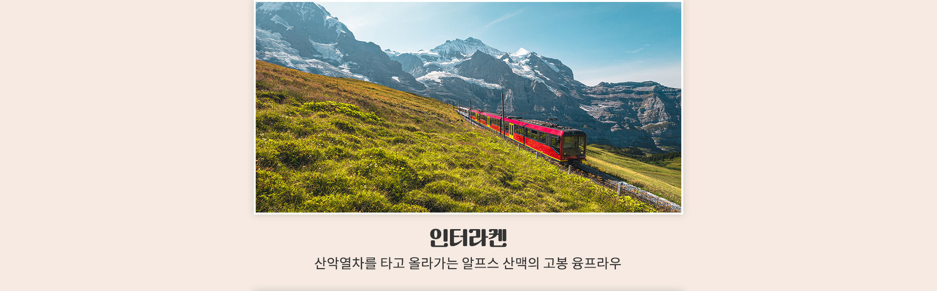 참좋은마켓