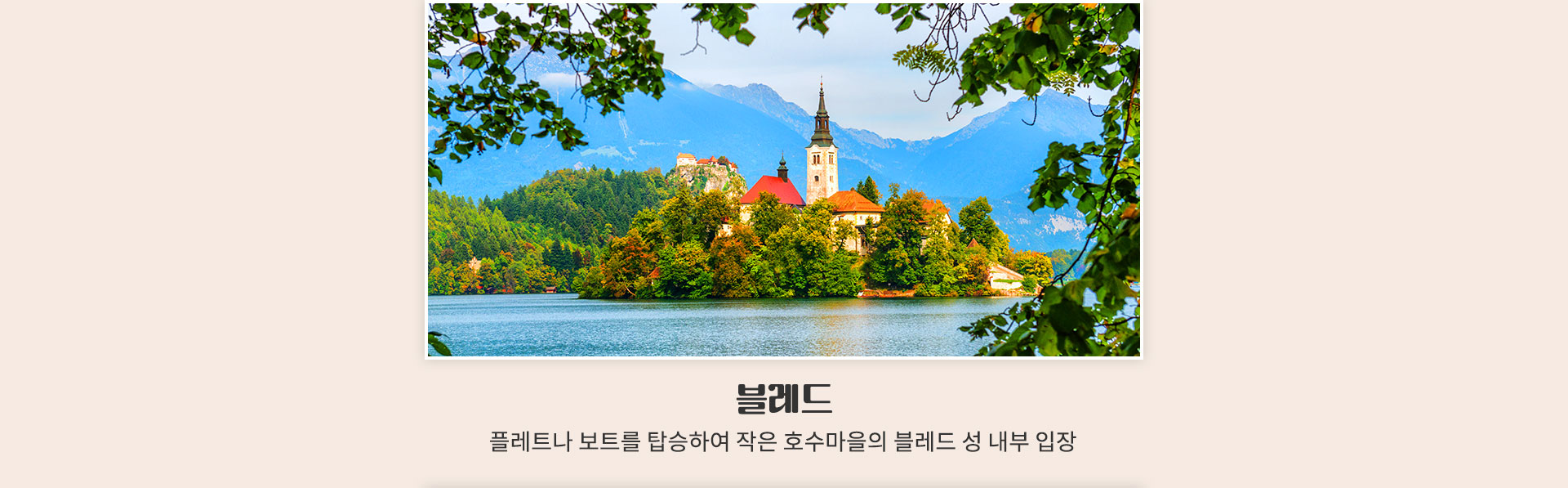 참좋은마켓