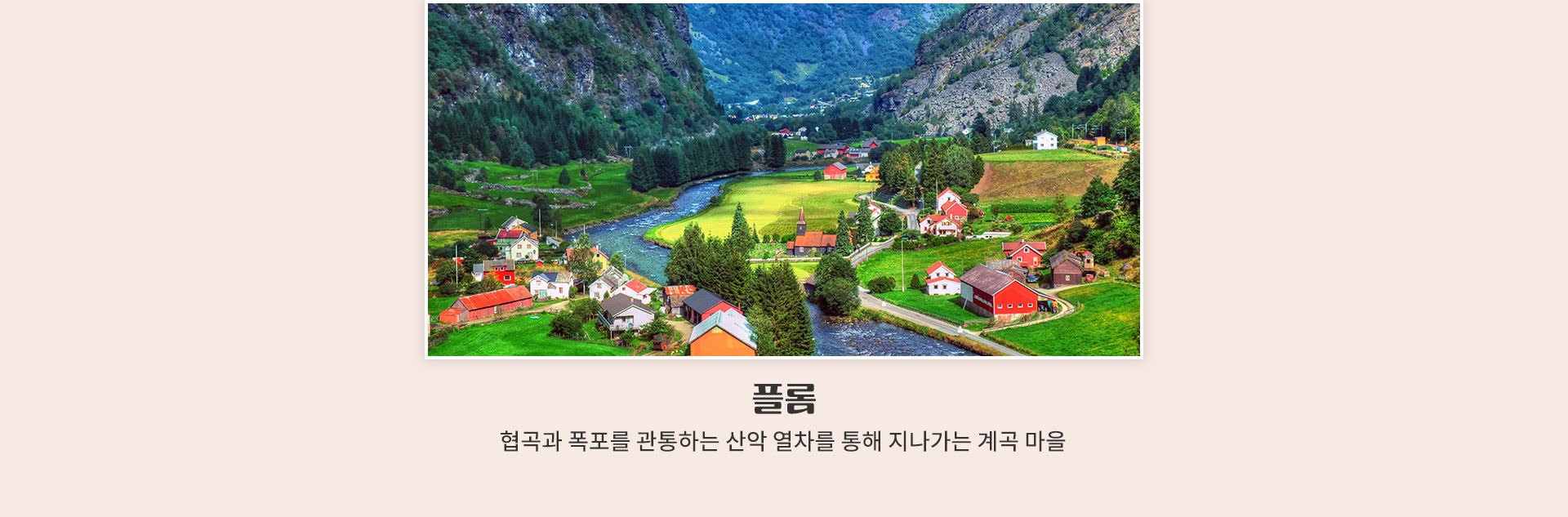 참좋은마켓