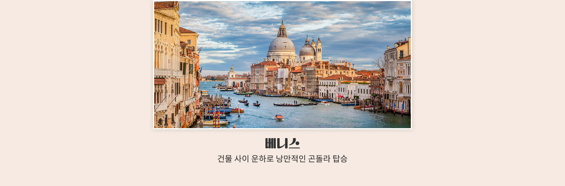 참좋은마켓