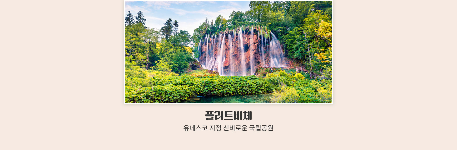 참좋은마켓