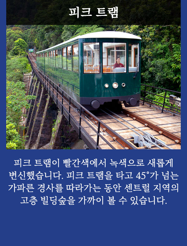 기획전/이벤트