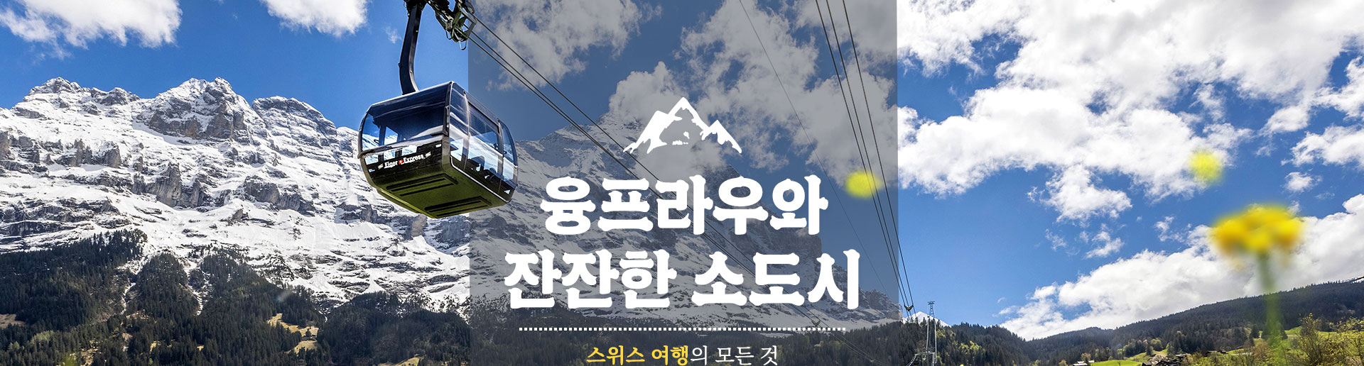 기획전 이미지