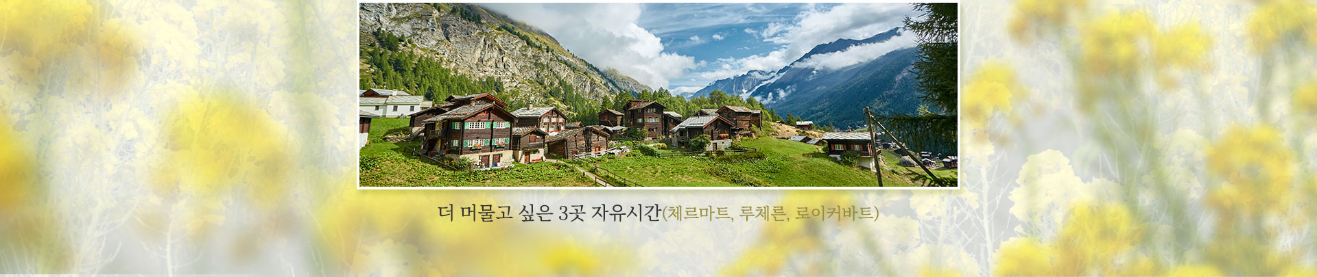 기획전 이미지