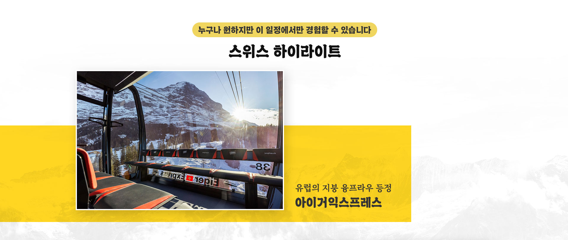 기획전 이미지