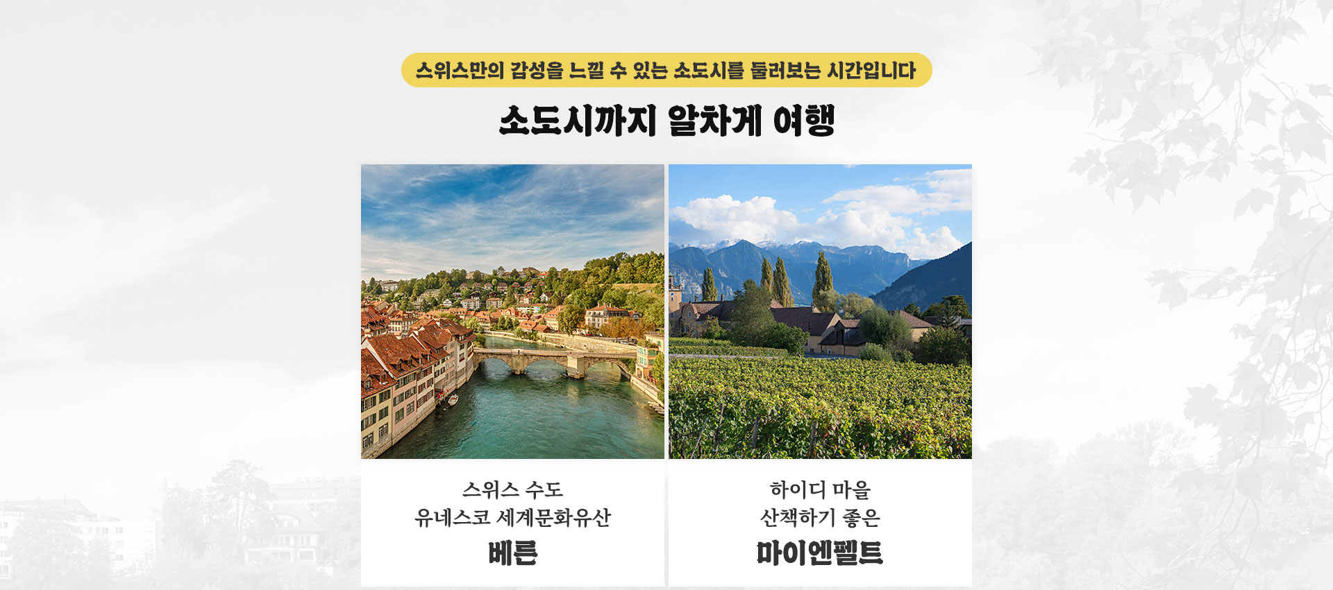 기획전 이미지