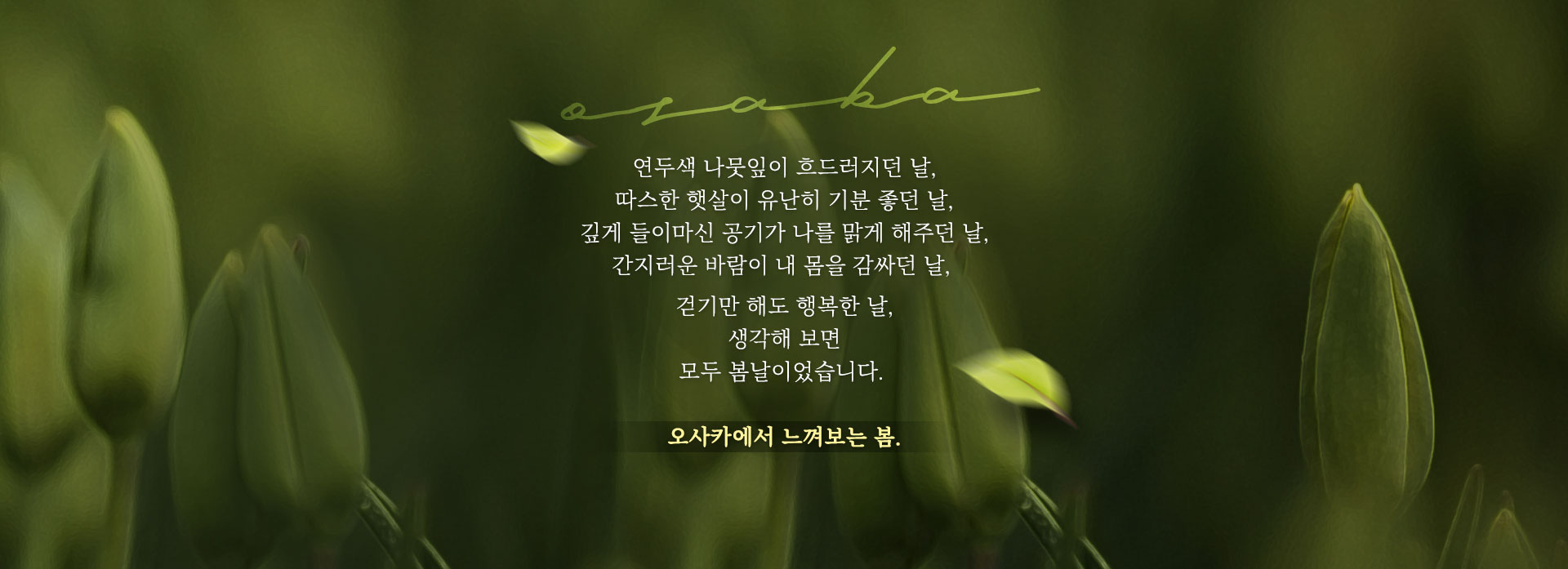 기획전 이미지