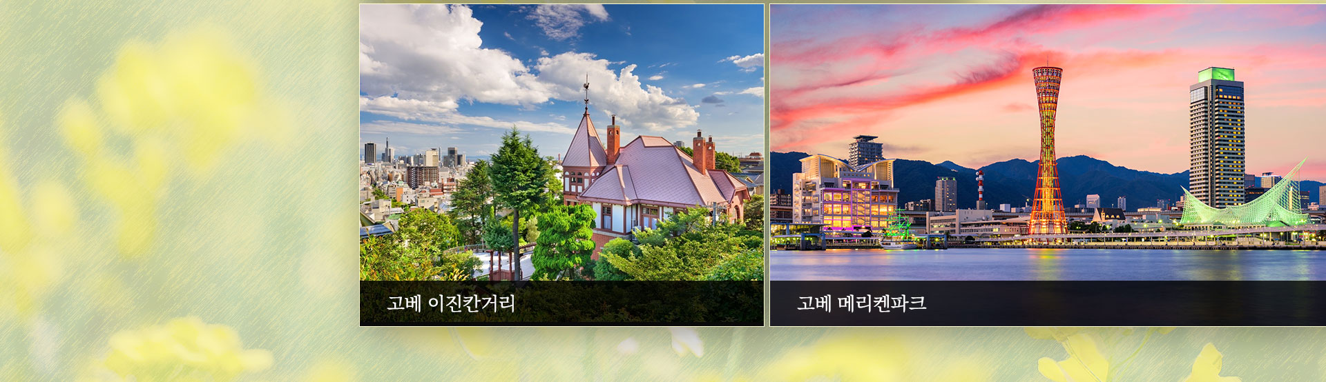 기획전 이미지