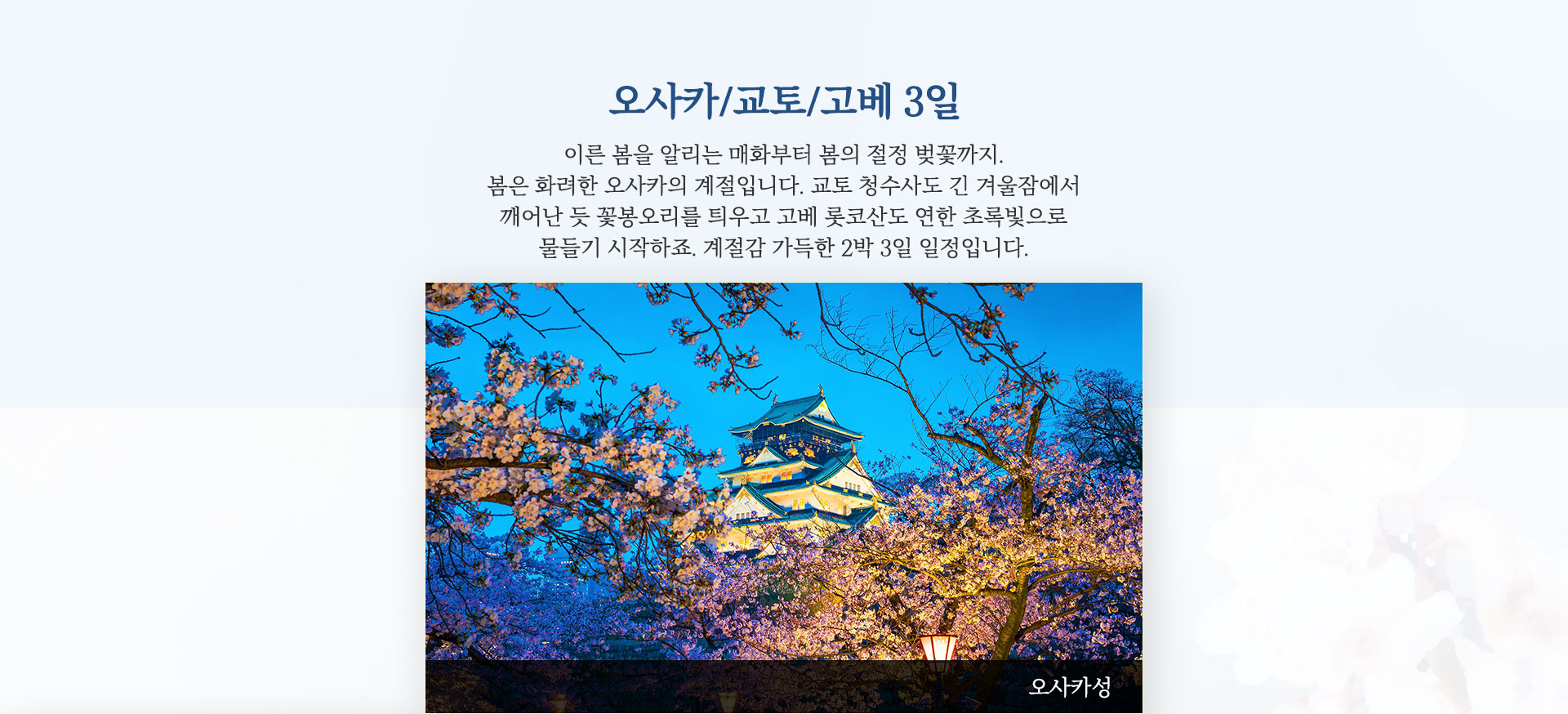 기획전 이미지