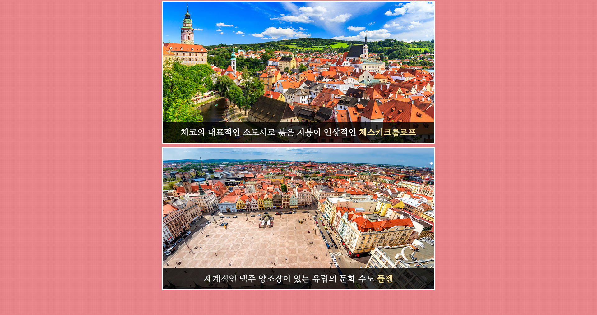 기획전 이미지