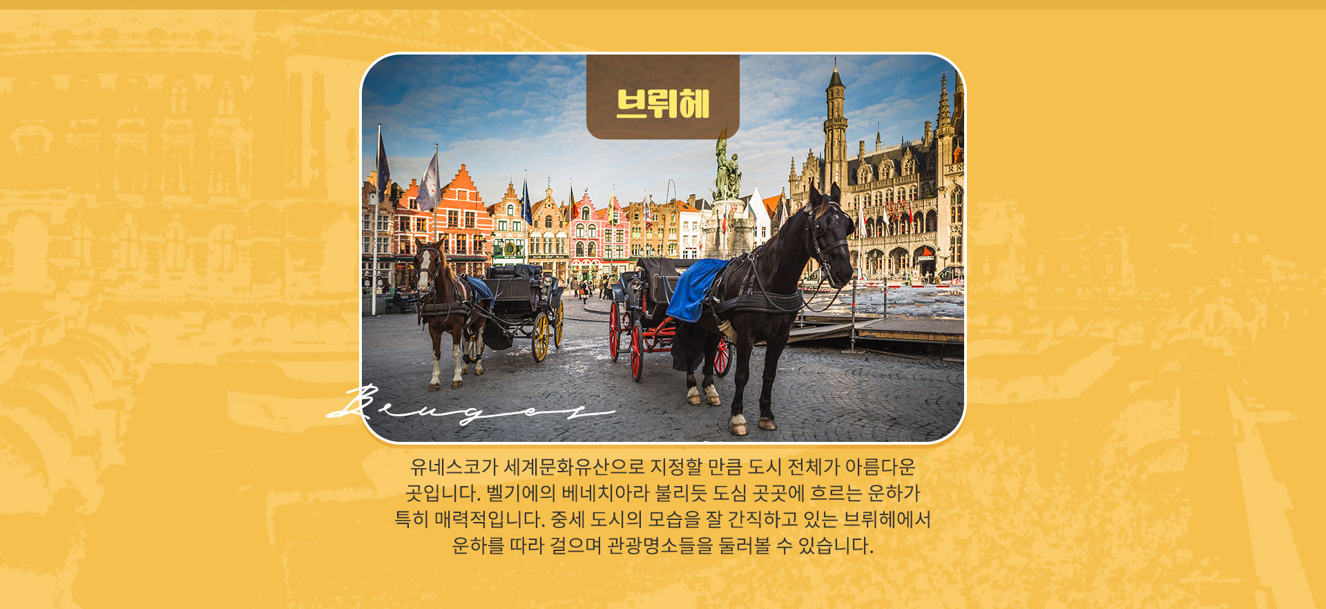 기획전 이미지