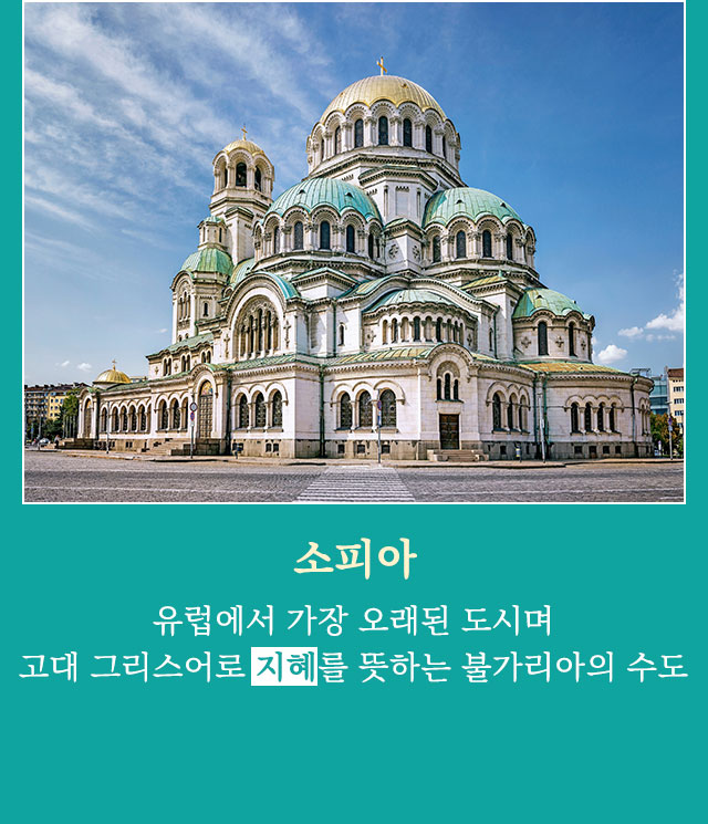 기획전/이벤트